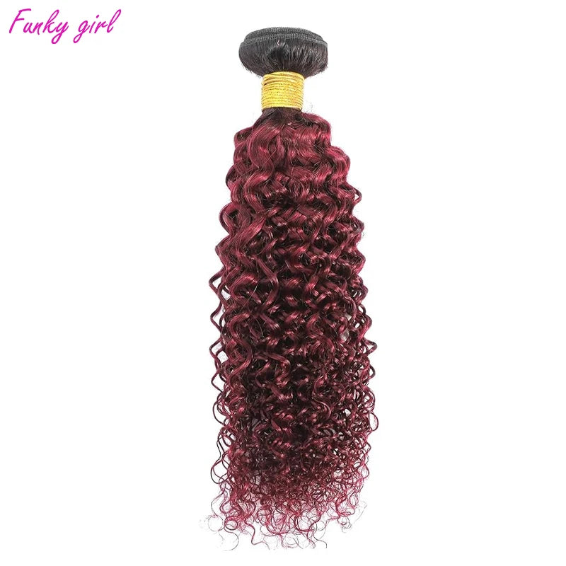 1B/Burgundy Kinky Curly Bundles Human Hair 1 Pcs/4 Pcs 10 12 14 16 - Shoptastic