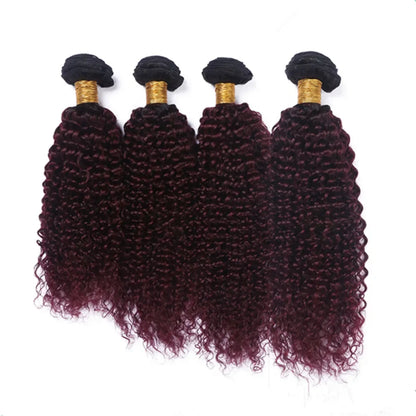 Bundles Kinky Curly Wine Red Hair